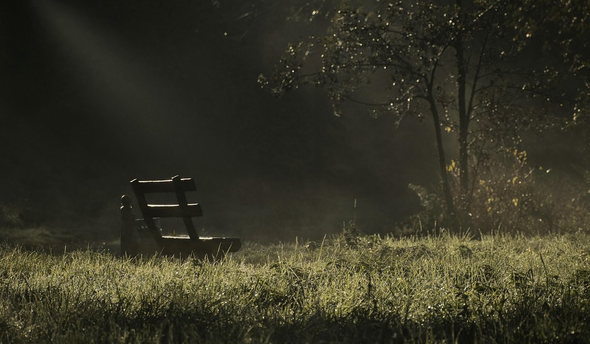 A Beginner's Guide To Birdwatching In Local Parks